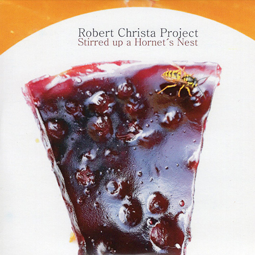 Stirred up a Hornet’s Nest von Robert Christa